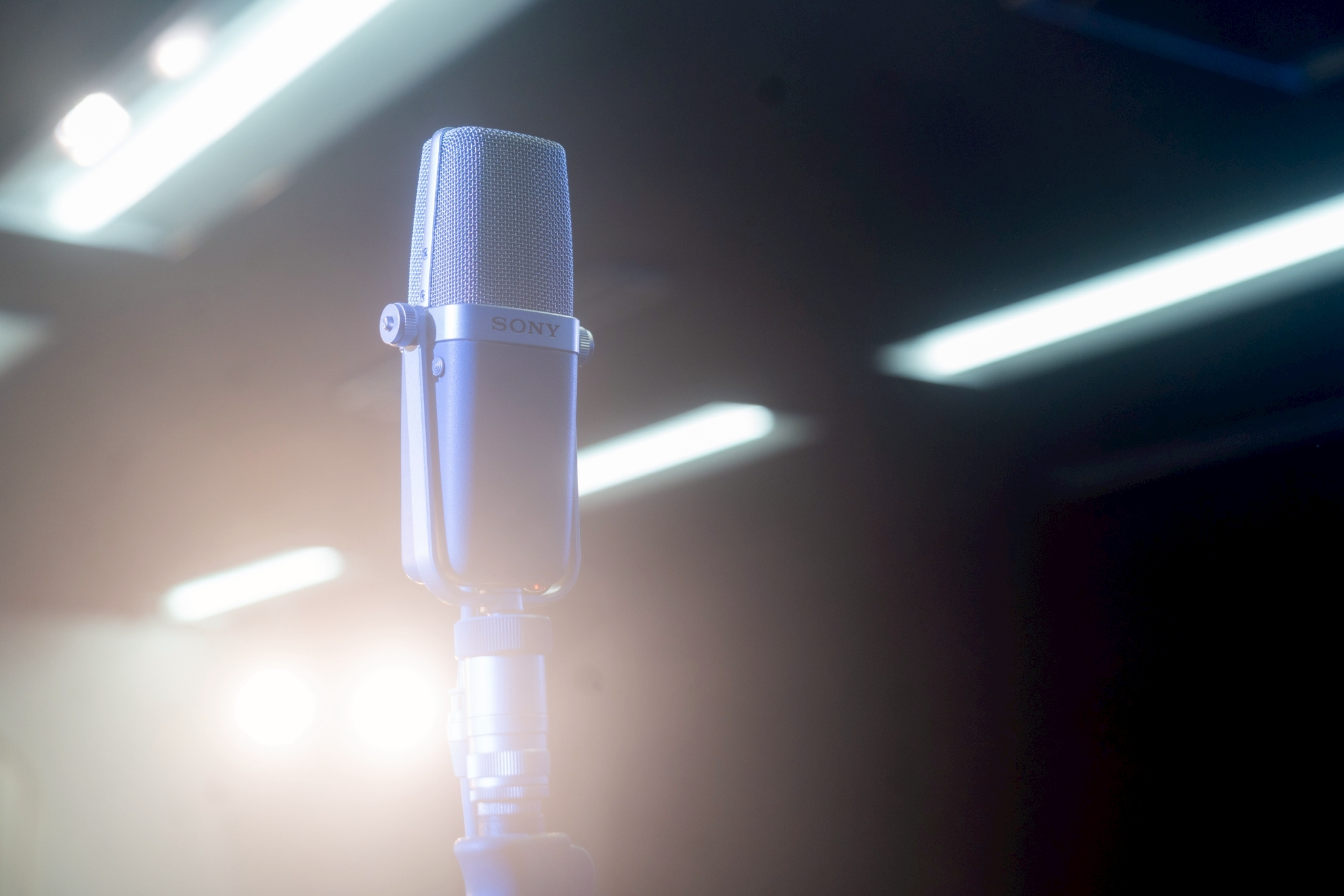 スタンドに立てられたマイク